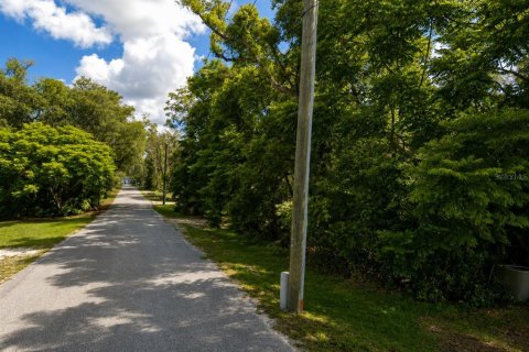 Terreno en venta en Orange City, Florida № 2201566 - foto 3