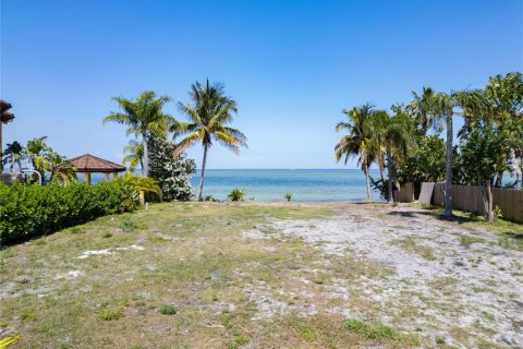 Terreno en venta en Apollo Beach, Florida № 1139580 - foto 1