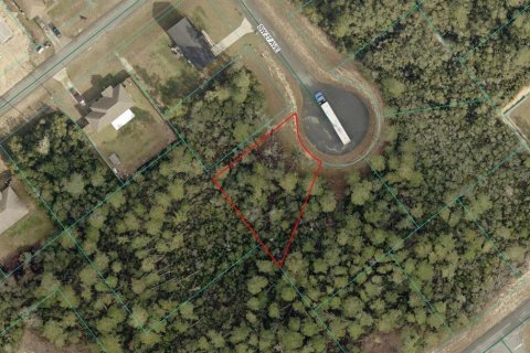 Terreno en Ocala, Florida № 2164952