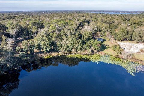 Terrain à Mount Dora, Floride № 2233511