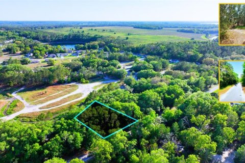 Land in Ocklawaha, Florida № 2229327 - photo 4