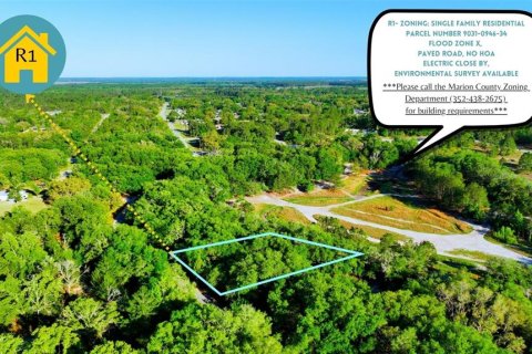 Land in Ocklawaha, Florida № 2229327 - photo 2