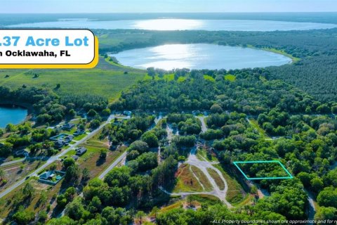 Land in Ocklawaha, Florida № 2229327