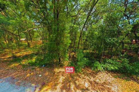 Land in Ocklawaha, Florida № 2229327 - photo 3