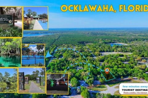 Land in Ocklawaha, Florida № 2229327 - photo 8