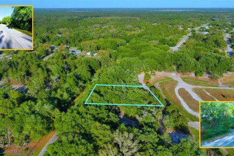 Land in Ocklawaha, Florida № 2229327 - photo 6