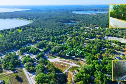 Land in Ocklawaha, Florida № 2229327 - photo 5
