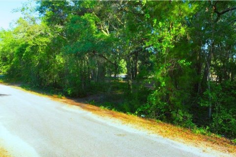 Land in Ocklawaha, Florida № 2229327 - photo 9