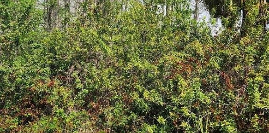 Land in Hudson, Florida № 1113858