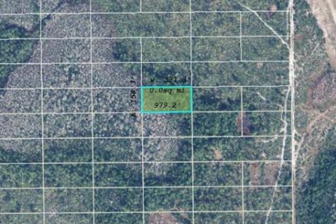 Land in Orlando, Florida № 2219157 - photo 2