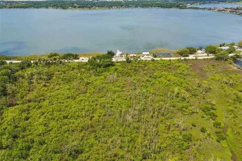 Land in Auburndale, Florida № 2213424 - photo 13
