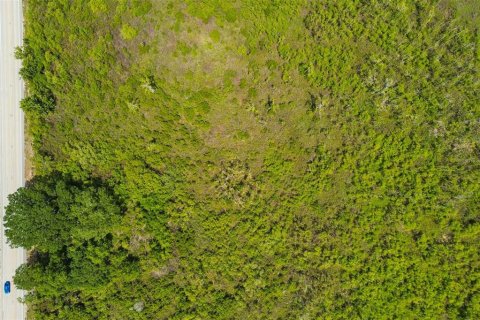 Land in Auburndale, Florida № 2213424 - photo 19