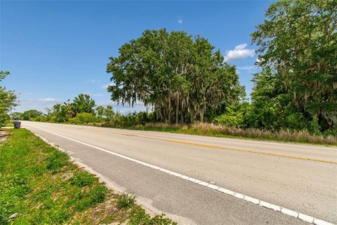 Land in Auburndale, Florida № 2213424 - photo 9
