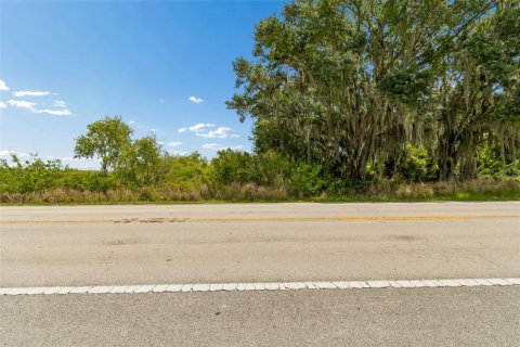 Land in Auburndale, Florida № 2213424 - photo 8