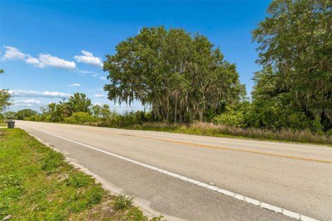 Land in Auburndale, Florida № 2213424 - photo 7
