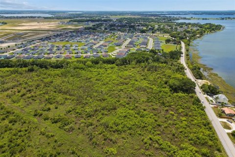 Land in Auburndale, Florida № 2213424 - photo 20