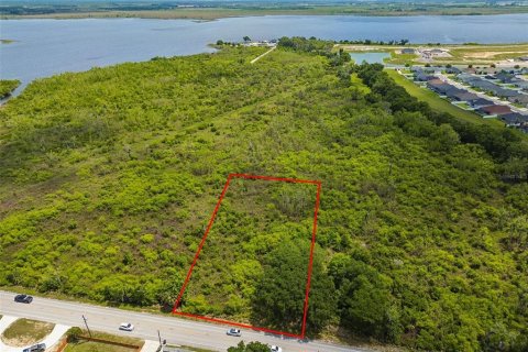 Land in Auburndale, Florida № 2213424 - photo 18