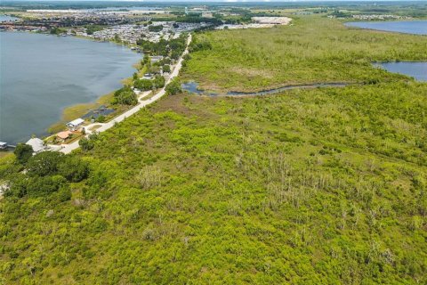 Land in Auburndale, Florida № 2213424 - photo 5