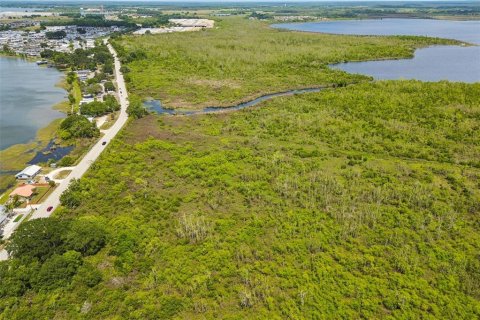 Land in Auburndale, Florida № 2213424 - photo 6