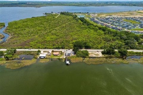Land in Auburndale, Florida № 2213424 - photo 2
