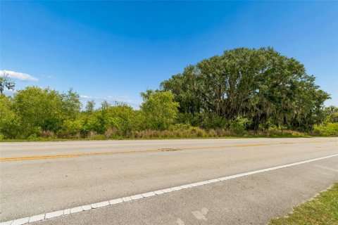 Land in Auburndale, Florida № 2213424 - photo 11