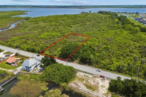 Land in Auburndale, Florida № 2213424 - photo 21