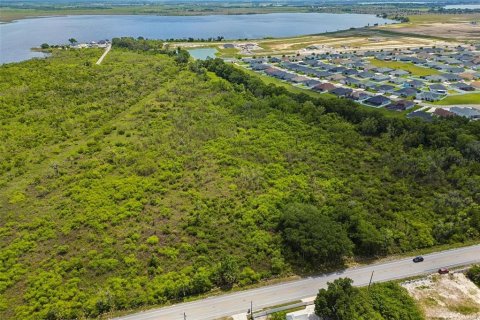 Land in Auburndale, Florida № 2213424 - photo 24