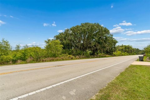Land in Auburndale, Florida № 2213424 - photo 10