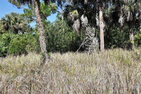 Land in North Port, Florida № 2207961 - photo 3