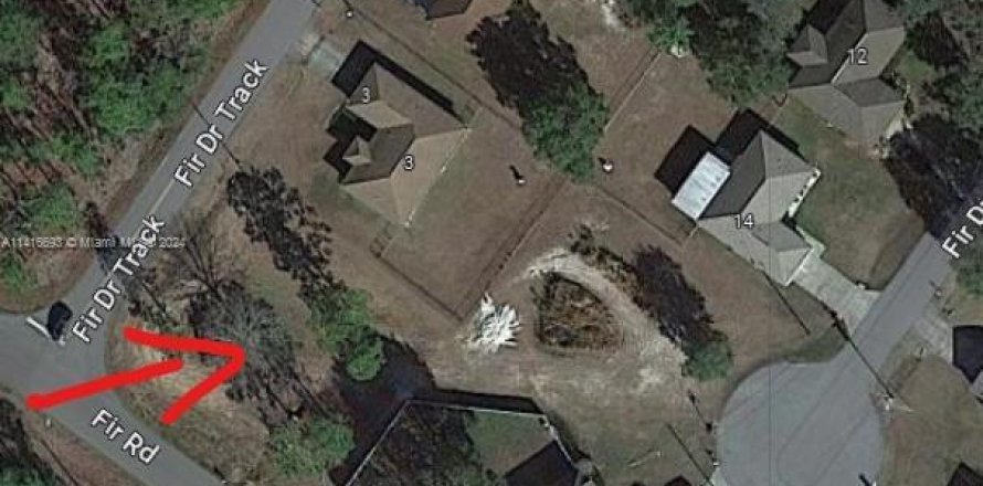 Terrain à Ocala, Floride № 1984988