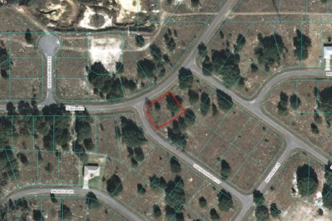 Land in Ocklawaha, Florida № 2228985