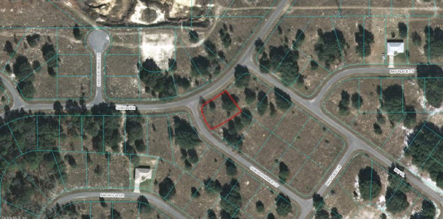 Land in Ocklawaha, Florida № 2228985