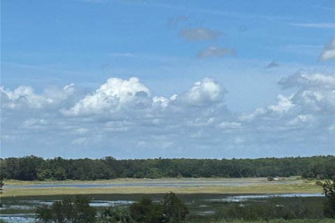 Villa ou maison à vendre à Howey-in-the-Hills, Floride: 5 chambres, 237.83 m2 № 1835357 - photo 8