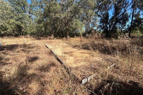 Terrain à vendre à Lake City, Floride № 2233108 - photo 3