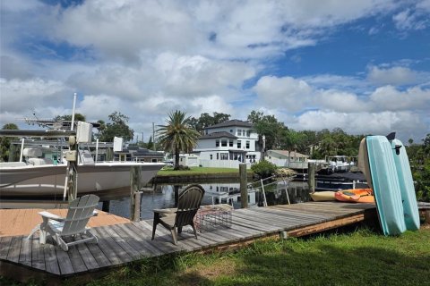 House in New Port Richey, Florida 3 bedrooms, 89.19 sq.m. № 1919109 - photo 13