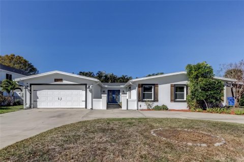 House in Tampa, Florida 4 bedrooms, 225.01 sq.m. № 2226358