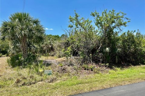 Land in Port Charlotte, Florida № 2163389