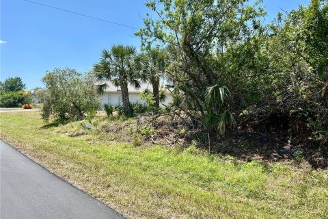 Land in Port Charlotte, Florida № 2163389 - photo 2