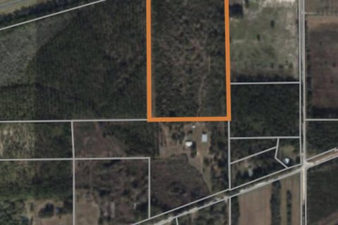 Land in Glen Saint Mary, Florida № 766034 - photo 1