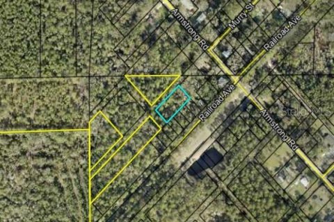 Land in Elkton, Florida № 2161995 - photo 2