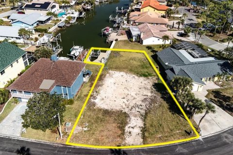 Land in New Port Richey, Florida № 2145545
