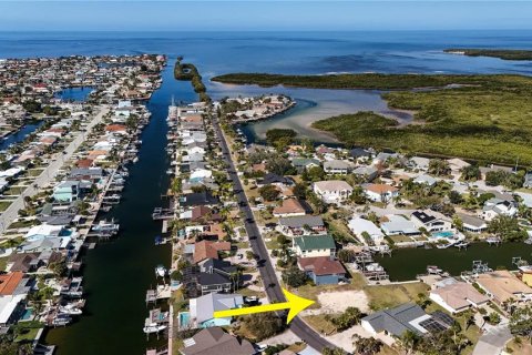 Land in New Port Richey, Florida № 2145545 - photo 12