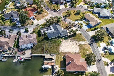 Land in New Port Richey, Florida № 2145545 - photo 7