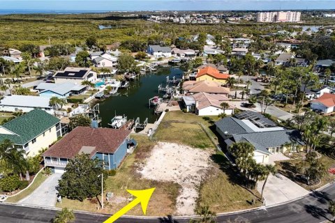 Land in New Port Richey, Florida № 2145545 - photo 2