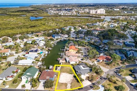 Land in New Port Richey, Florida № 2145545 - photo 4