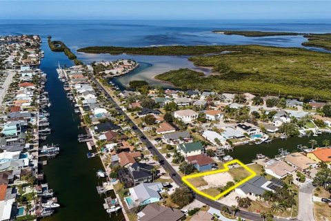 Land in New Port Richey, Florida № 2145545 - photo 13