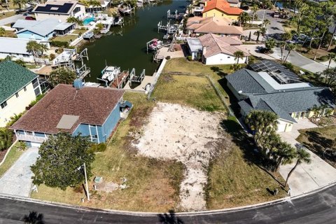 Land in New Port Richey, Florida № 2145545 - photo 3