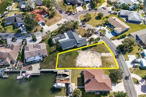 Land in New Port Richey, Florida № 2145545 - photo 6