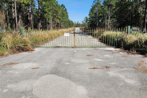 Land in Frostproof, Florida № 979459 - photo 1