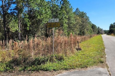 Land in Frostproof, Florida № 979459 - photo 5